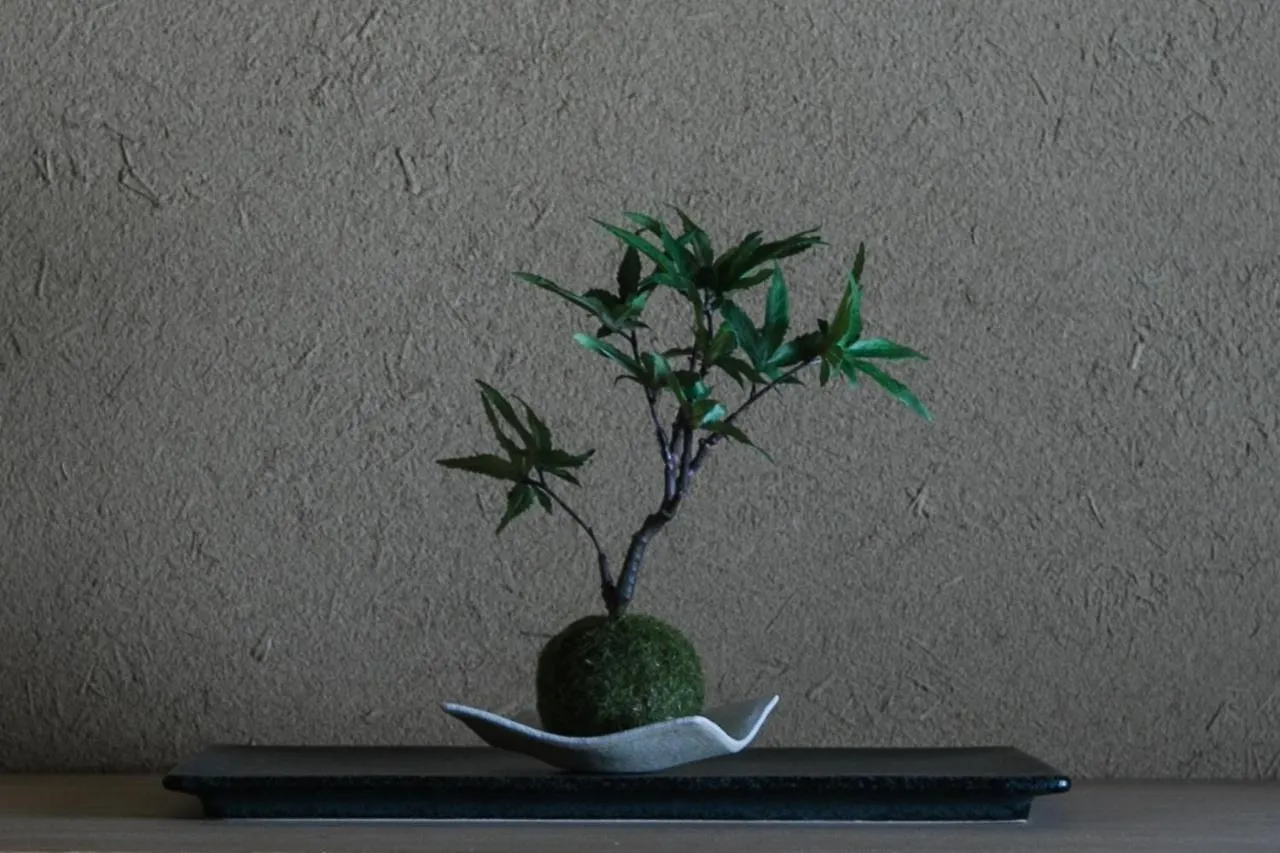 No.8 Kyoto Villa